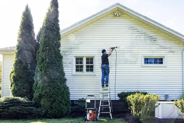 Best Sidewalk and Walkway Cleaning  in Wedgefield, SC
